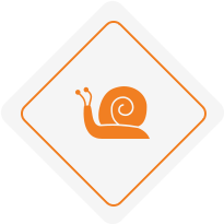 Snail icon